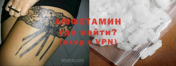 индика Балахна