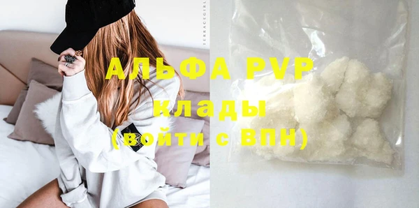 индика Балахна