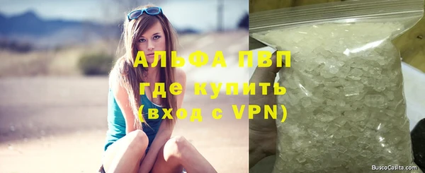 индика Балахна