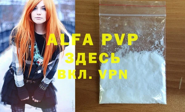 индика Балахна