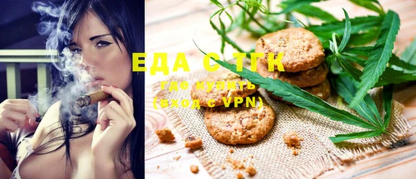 индика Балахна