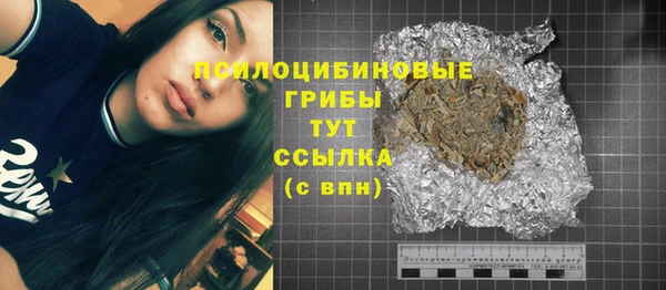 индика Балахна