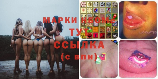 индика Балахна