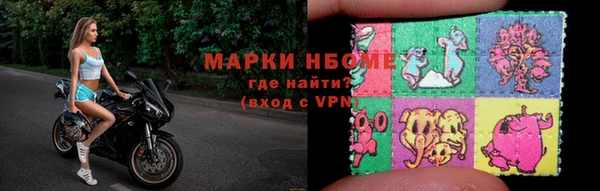 индика Балахна