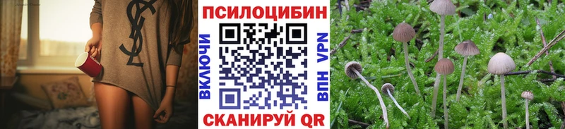 Псилоцибиновые грибы Magic Shrooms  купить наркотики цена  Белоозёрский 